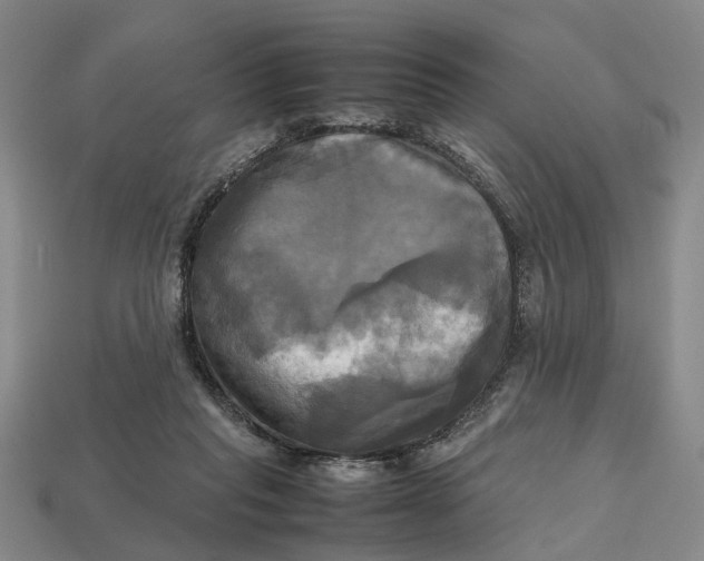 X0000112970261200909171324