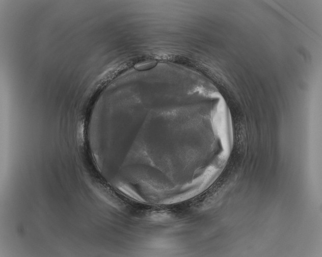 X0000112970262200909171324