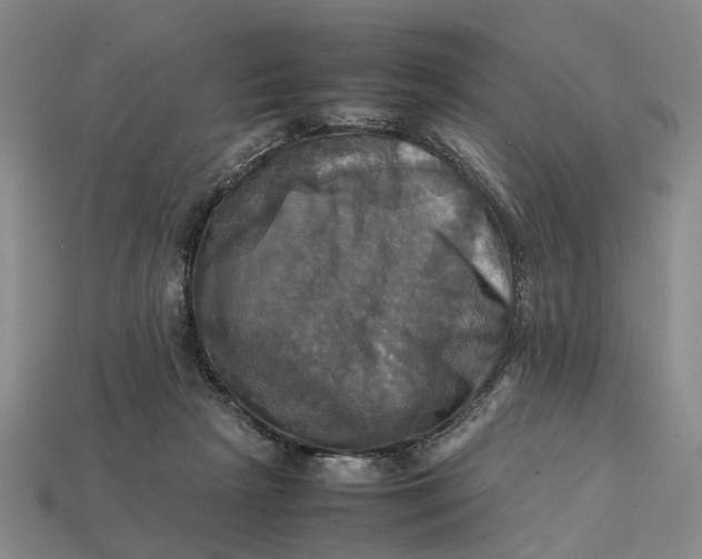 X0000112970265200909171324