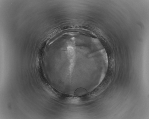 X0000112970266200909171324