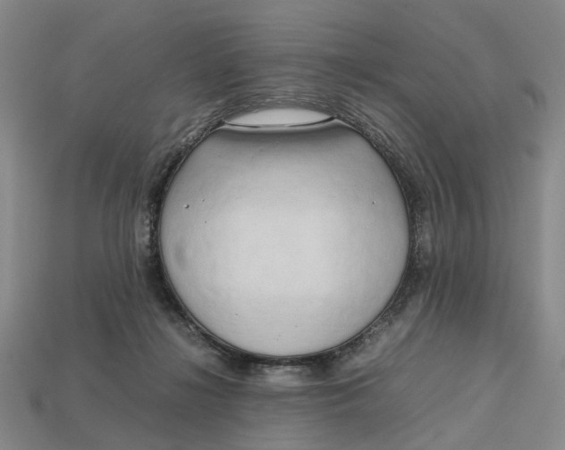 X0000112970268200909171324