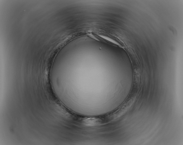 X0000112970269200909171324