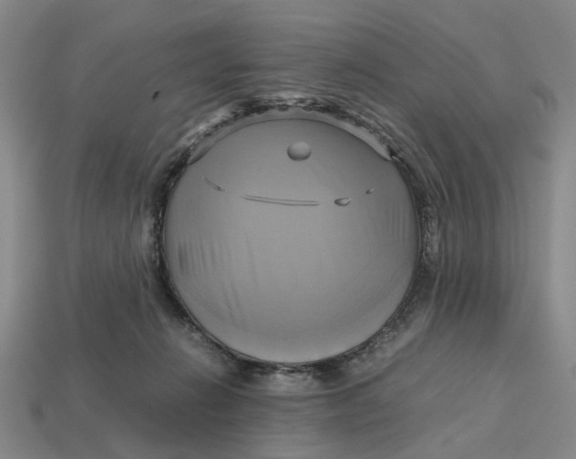 X0000112970270200909171324