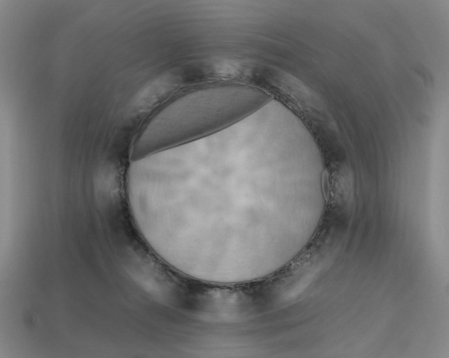 X0000112970272200909171324