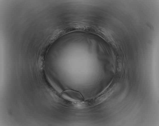 X0000112970273200909171324