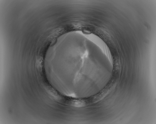 X0000112970275200909171324