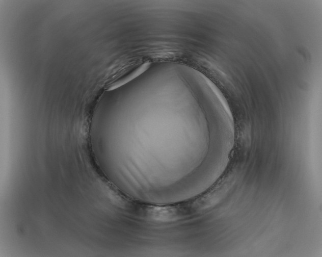 X0000112970277200909171324