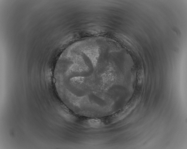 X0000112970279200909171324