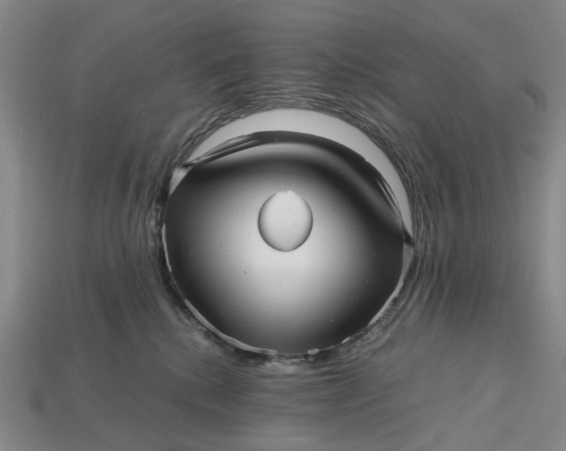 X0000112970280200909171324