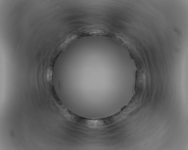 X0000112970281200909171324