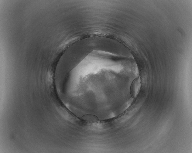 X0000112970282200909171324