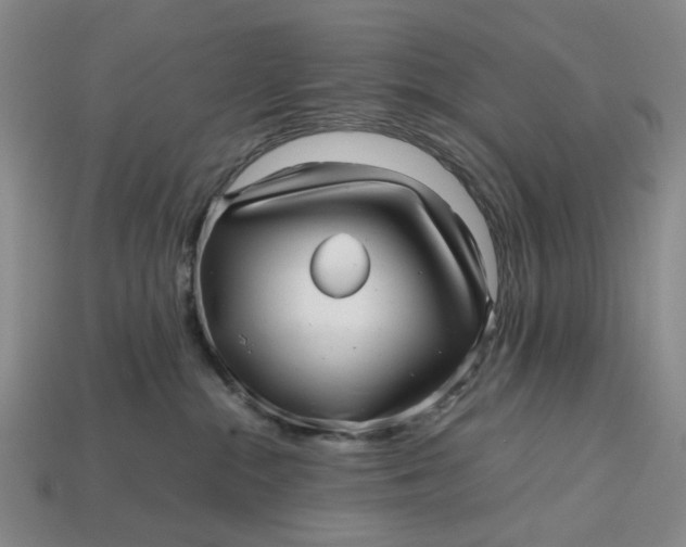 X0000112970284200909171324