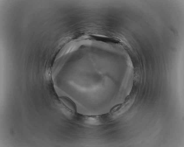 X0000112970285200909171324