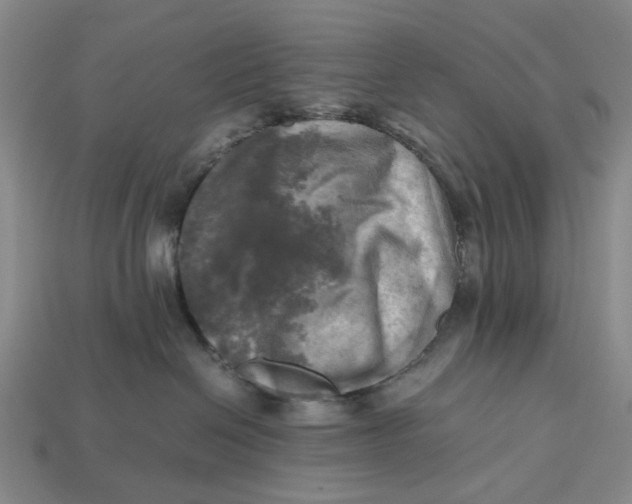 X0000112970286200909171324