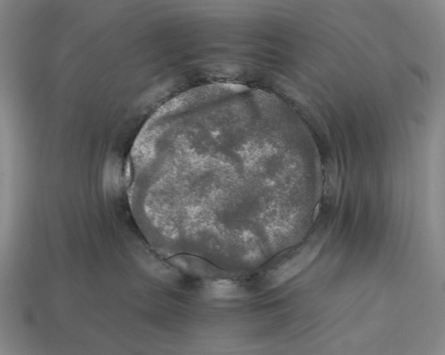 X0000112970287200909171324