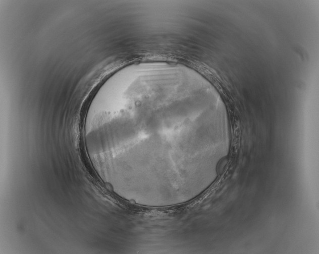 X0000112970290200909171324