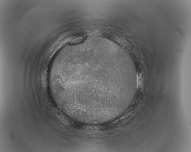 X0000112970291200909171324