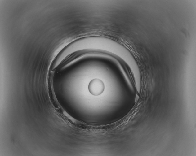 X0000112970292200909171324