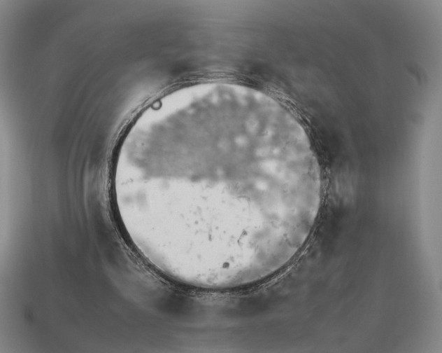 X0000112970293200909171324