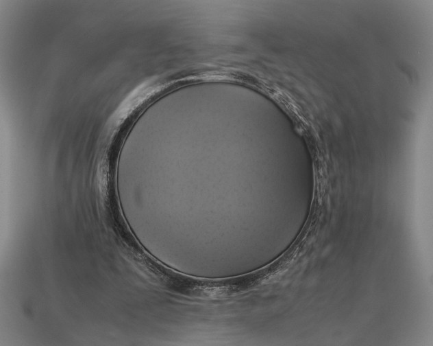 X0000112970295200909171324