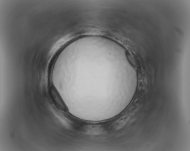 X0000112970296200909171324