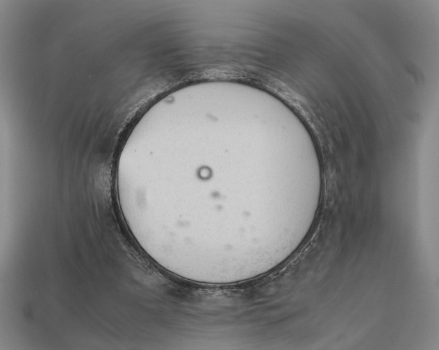 X0000112970297200909171324