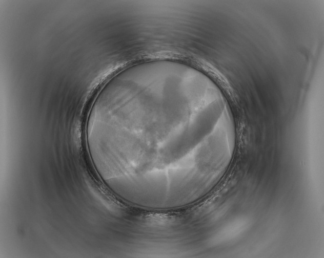 X0000112970298200909171324