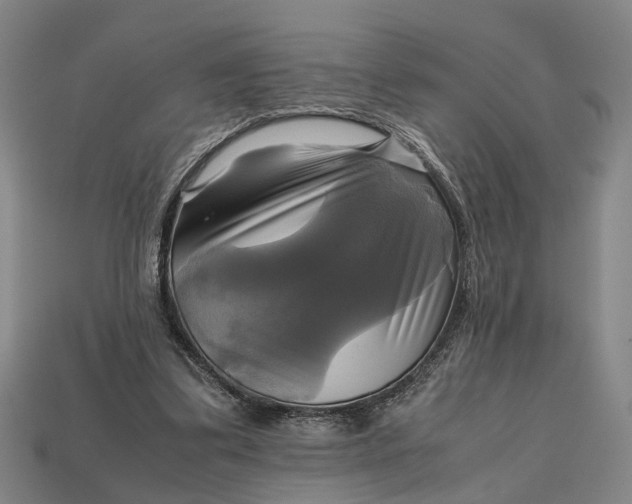 X0000112970299200909171324