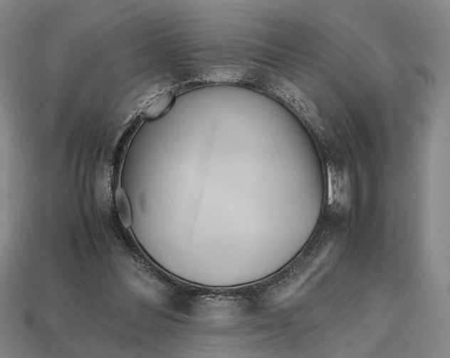 X0000112970300200909171324