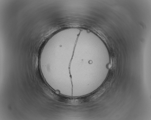 X0000112970301200909171324