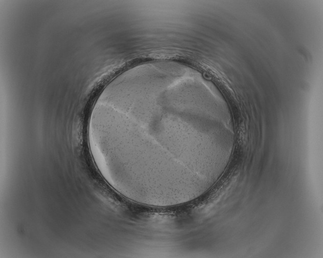 X0000112970303200909171324