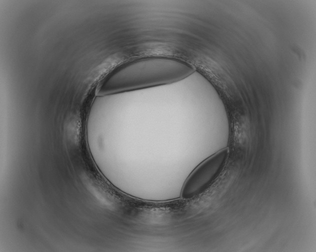 X0000112970304200909171324