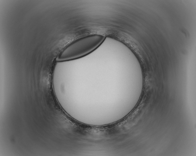 X0000112970305200909171324