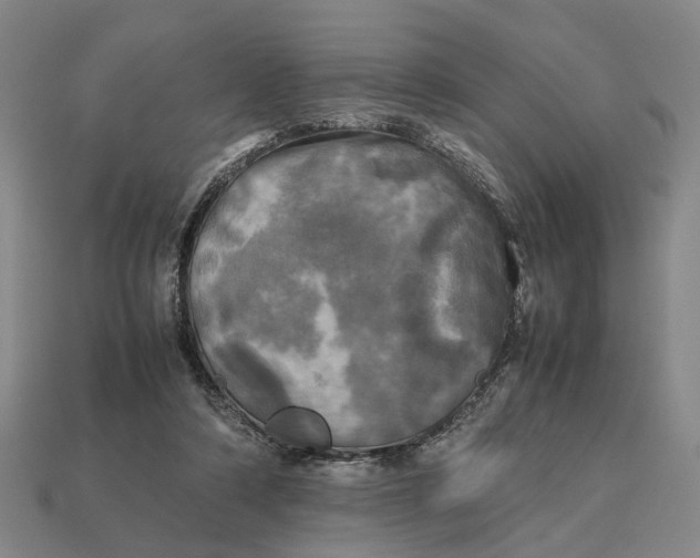 X0000112970306200909171324