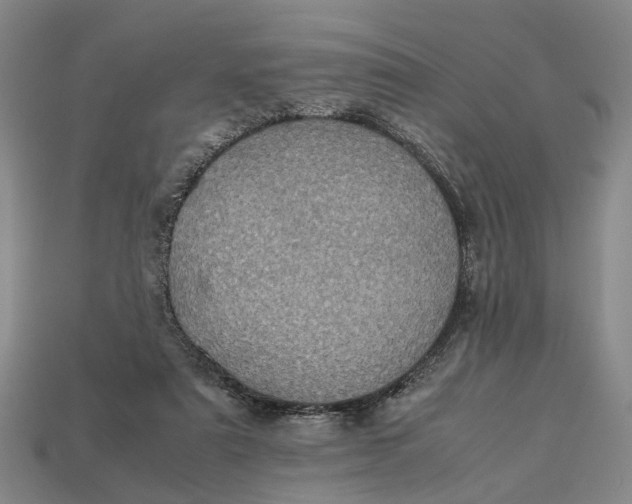 X0000112970307200909171324