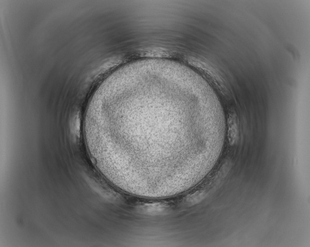 X0000112970310200909171324