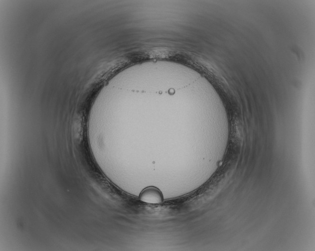 X0000112970311200909171324