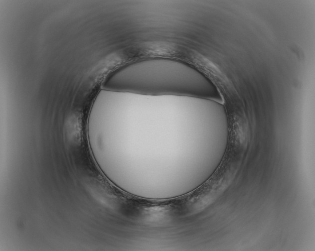 X0000112970312200909171324