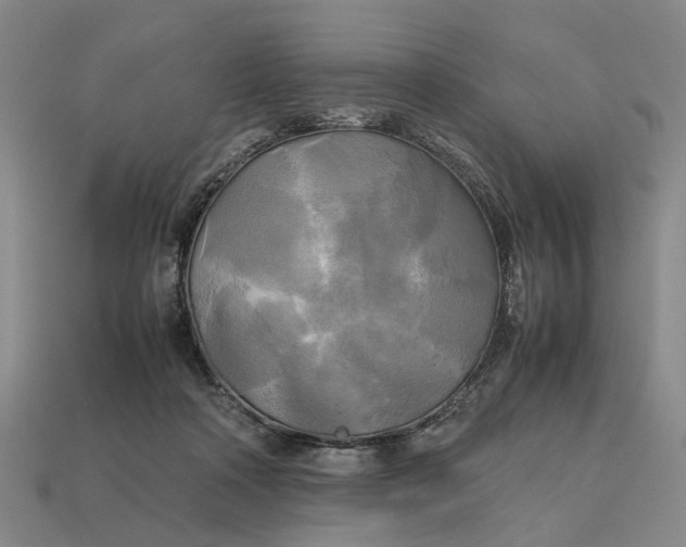 X0000112970314200909171324