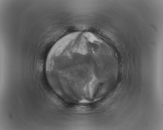 X0000112970315200909171324