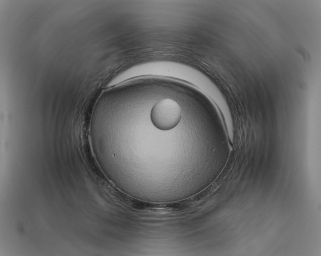 X0000112970316200909171324