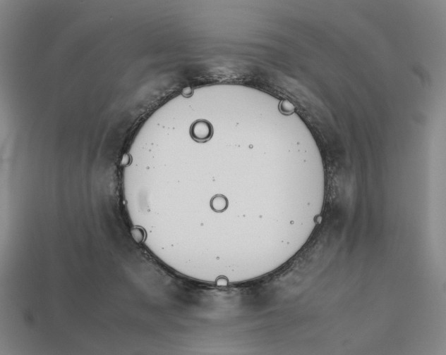 X0000112970317200909171323