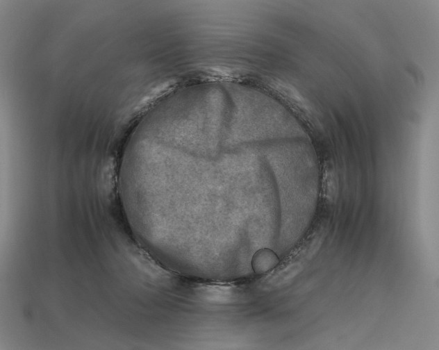 X0000112970318200909171323