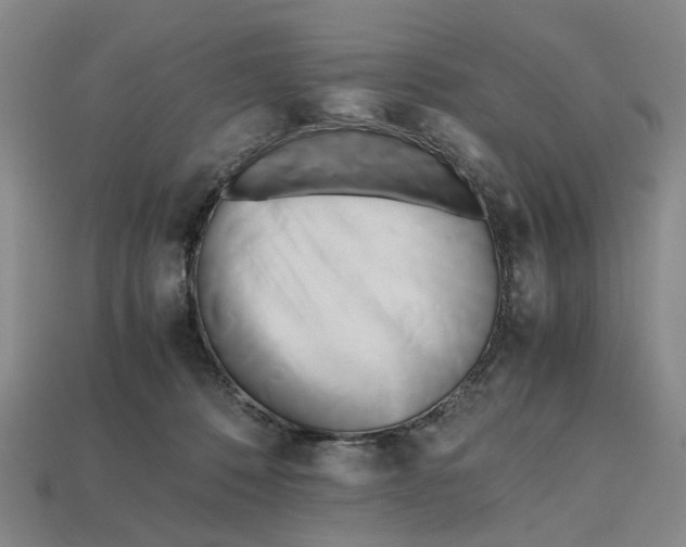 X0000112970320200909171323