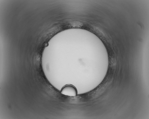 X0000112970321200909171323