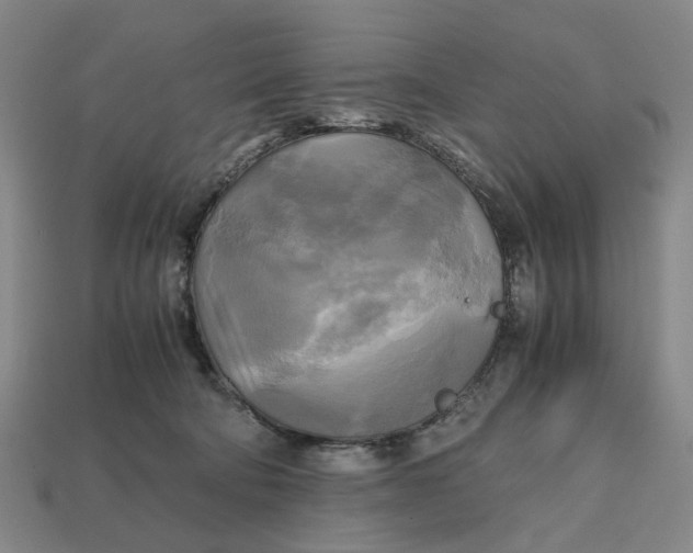 X0000112970322200909171323