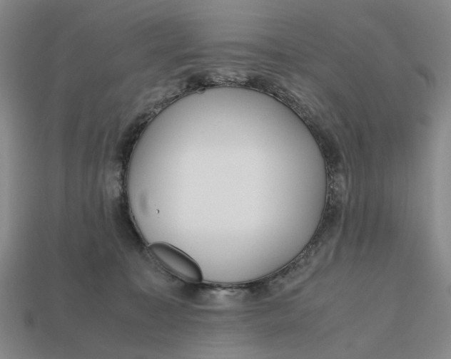 X0000112970323200909171323