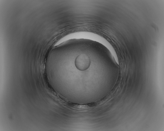 X0000112970324200909171323