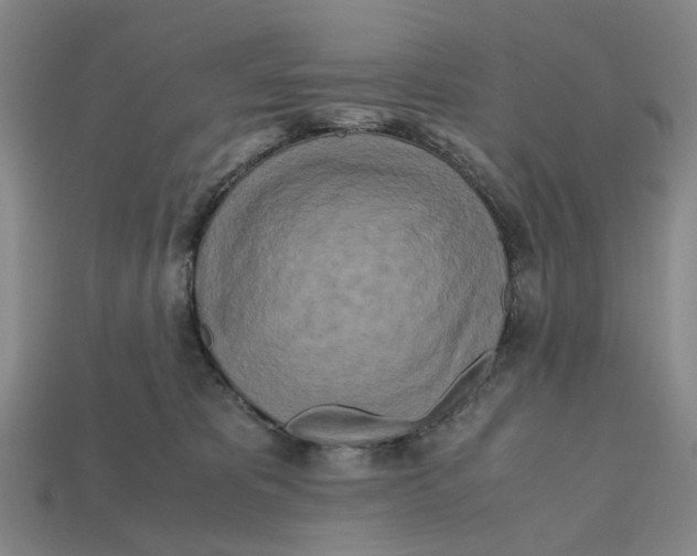 X0000112970325200909171323