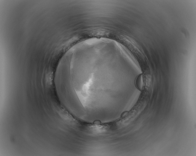 X0000112970326200909171323